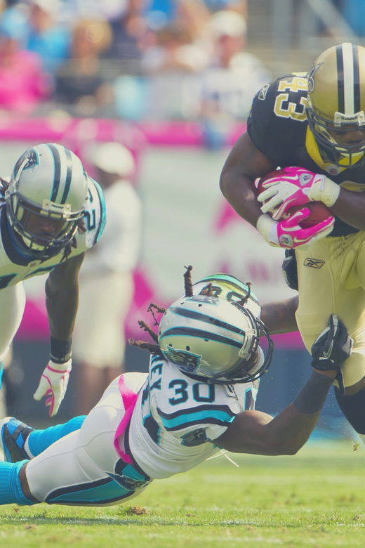 New Orleans: New Orleans Saints Football Game Ticket - Choosing between budget, regular, and premium seats