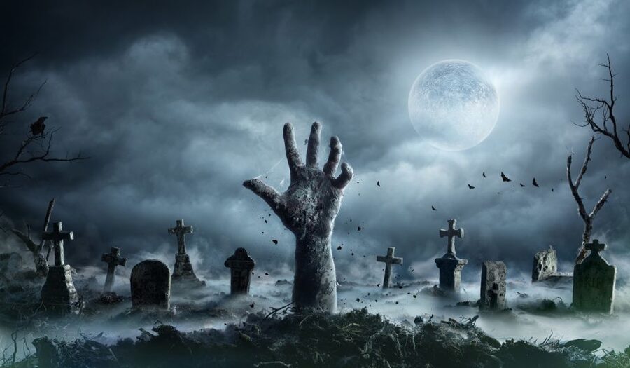 New Orleans: Night Cemetery and Ghost BYOB Bus Tour - Walking among tombs with EMF readers and dowsing rods