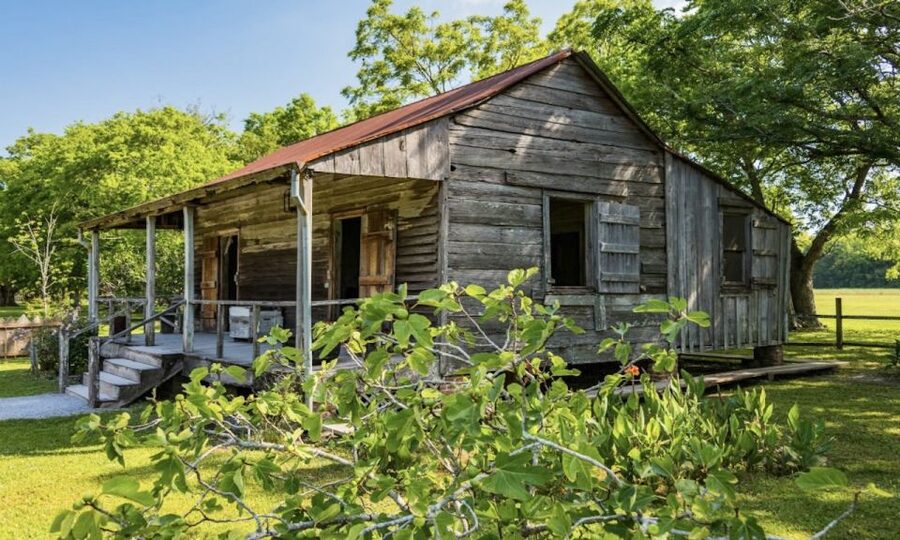 New Orleans: Oak Alley or Laura Plantation & Airboat Tour - Key points at a glance