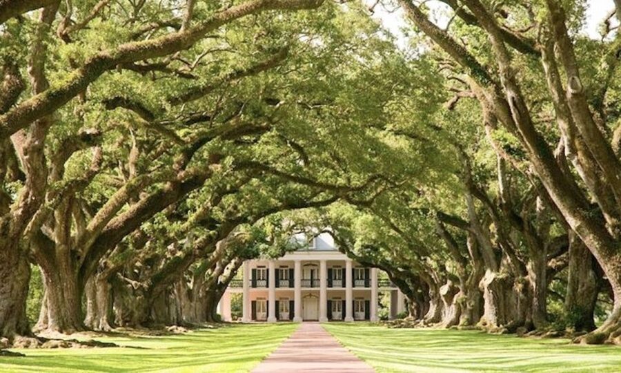 New Orleans: Oak Alley or Laura Plantation & Airboat Tour - What the two-hour plantation stop feels like