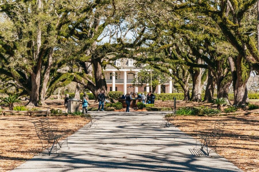 New Orleans: Oak Alley Plantation & Airboat Swamp Combo Tour - Key points to know before booking
