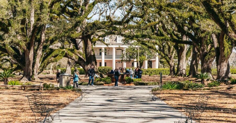 New Orleans: Oak Alley Plantation & Airboat Swamp Combo Tour - Pickup from New Orleans hotels