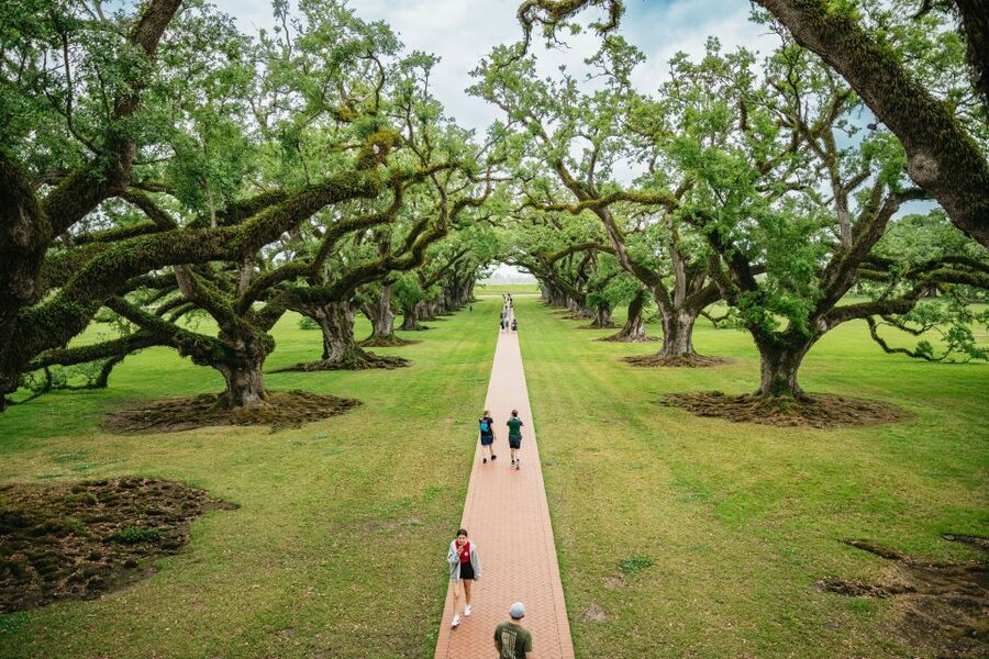 New Orleans: Oak Alley Plantation and Swamp Cruise Day Trip - Key points at a glance