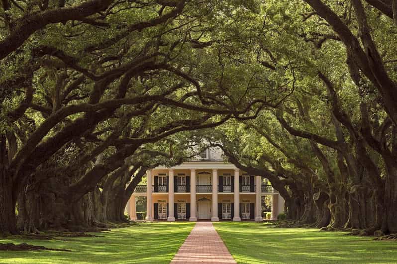 New Orleans: Oak Alley Plantation Half Day Tour - Oak Alley’s Famous Row of Live Oaks