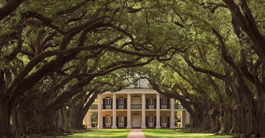 New Orleans: Oak Alley Plantation Half Day Tour - Three Hours at Oak Alley: How to Use Your Time