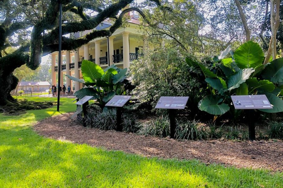 New Orleans: Oak Alley Plantation Tour with Transportation - Adding the 90-minute Manchac Swamp tour