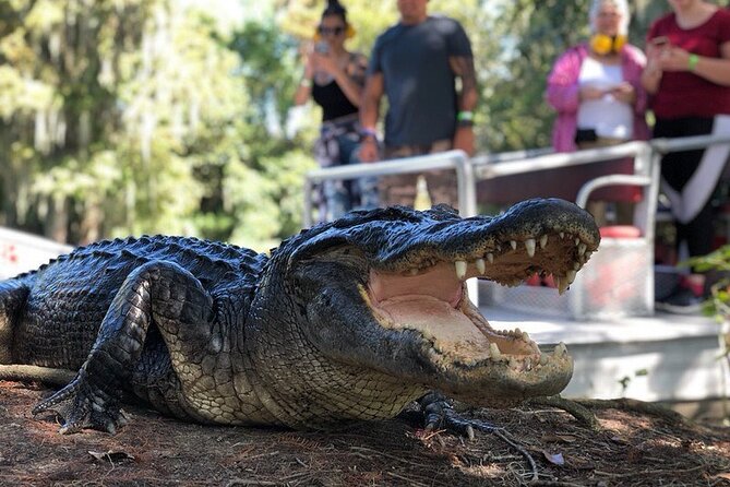New Orleans Premium Six-Passenger Airboat Adventure - Choosing the small airboat