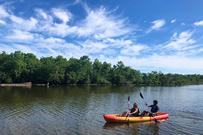 New Orleans Self-Guided Kayak Bayou Swamp Tour - A Quiet Bayou Just Outside New Orleans