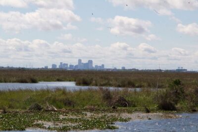 New Orleans Self-Guided Kayak Bayou Swamp Tour