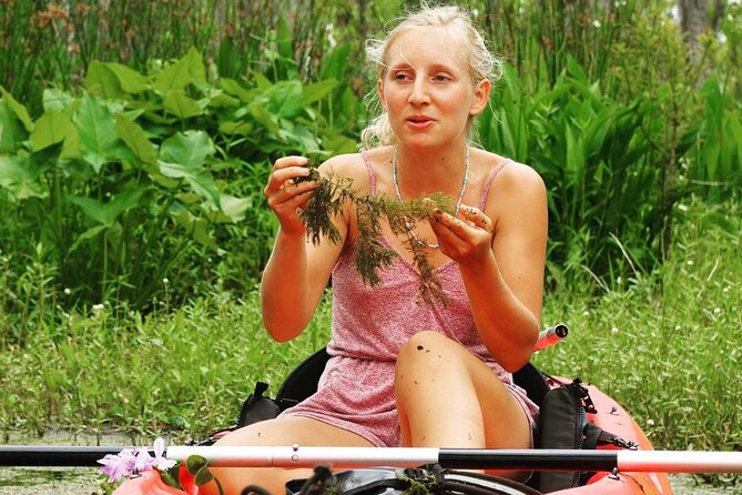 New Orleans Self-Guided Kayak Bayou Swamp Tour - Value, Group Size, and Practical Tradeoffs