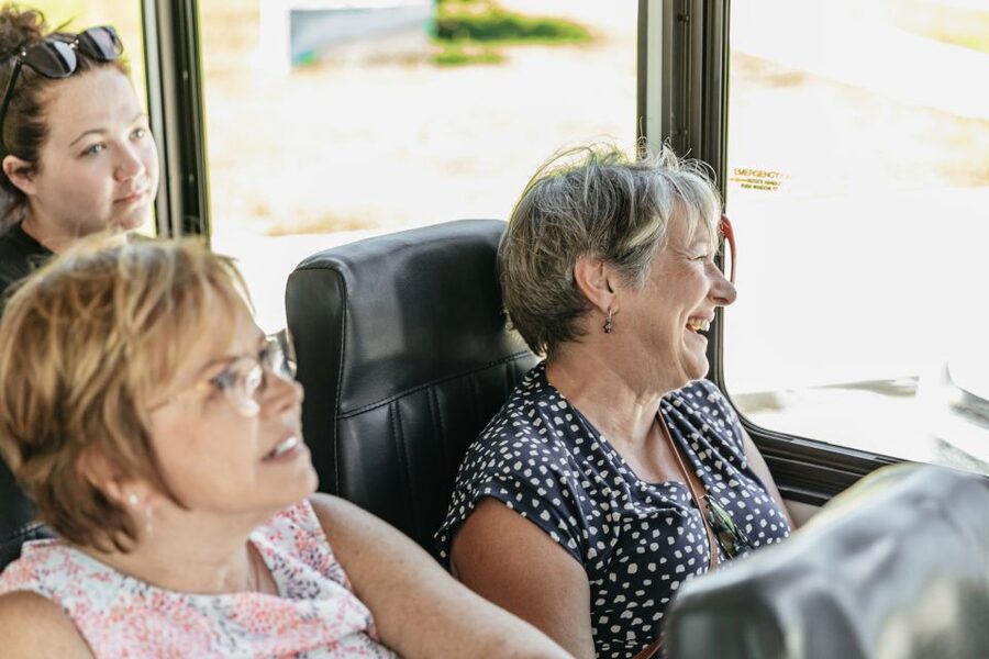 New Orleans: Sightseeing Bus Tour - City Park, Cafe Du Monde, and Lake Pontchartrain