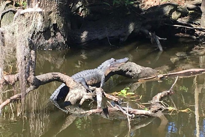 New Orleans Small-Group Airboat Swamp Tour - How much time you really get