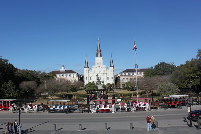 New Orleans Small-Group City and Cemetery Tour with Hotel Pickup - A city tour that goes beyond the French Quarter