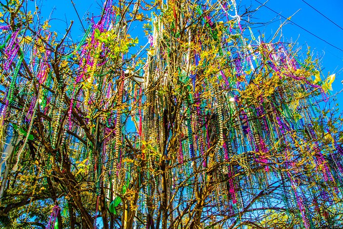 New Orleans Small-Group City Tour by Van - Neighborhoods beyond the postcard New Orleans