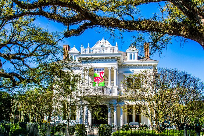 New Orleans Small-Group City Tour by Van - What the guide adds to the ride