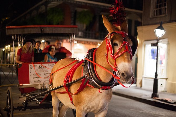 New Orleans Small-Group Haunted History Carriage Tour - Rolling out from Jackson Square at night