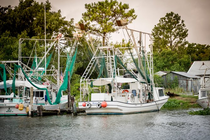 New Orleans Swamp and Bayou Alligator Tour - When to go and what to wear