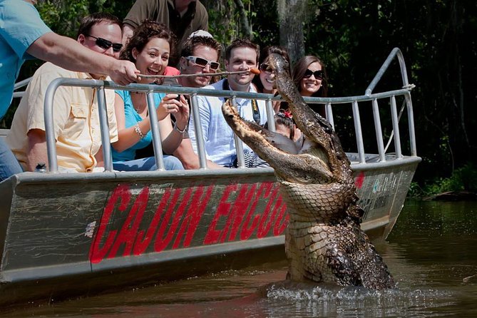 New Orleans Swamp and Bayou Boat Tour with Transportation - Key points to know before you go