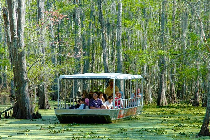 New Orleans Swamp and Bayou Boat Tour with Transportation - Who will enjoy this Honey Island trip