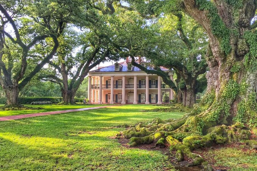 New Orleans: Swamp Boat Ride & Oak Alley Plantation Tour - Meeting at the Mississippi River