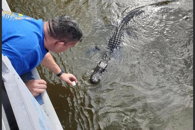 New Orleans Swamp Tour Boat Adventure - Why the captain matters so much