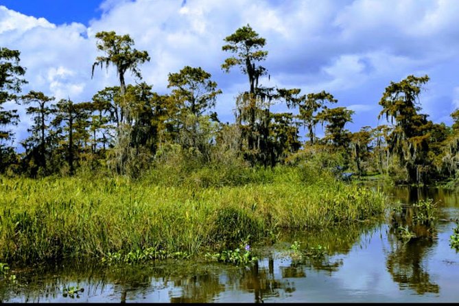 New Orleans Swamp Tour Boat Adventure with Transportation - Who should book this boat adventure?