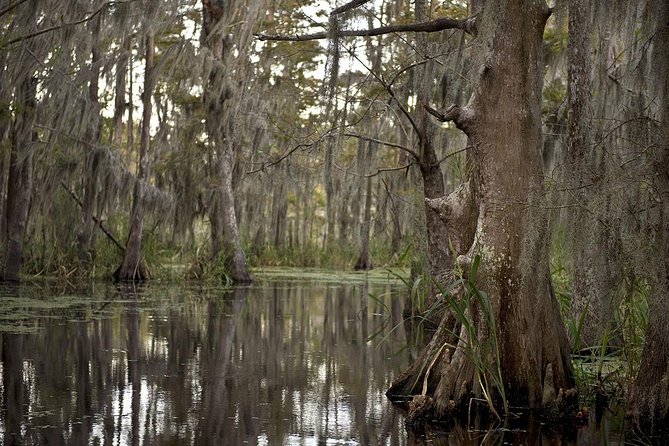 New Orleans Swamp Tour Boat Adventure - Boarding the covered swamp tour boat