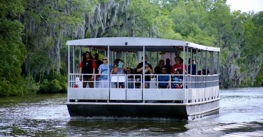 New Orleans: Swamp Tour on Covered Pontoon Boat - Key points at a glance