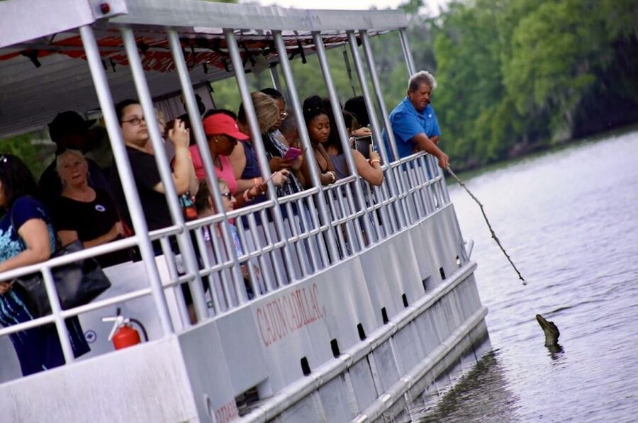 New Orleans: Swamp Tour on Covered Pontoon Boat - Is $35 a fair price?