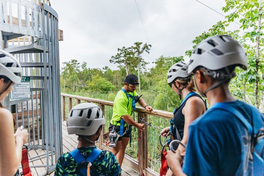 New Orleans: Swamp Zipline Tour - Five ziplines, two bridges, and one unusual staircase