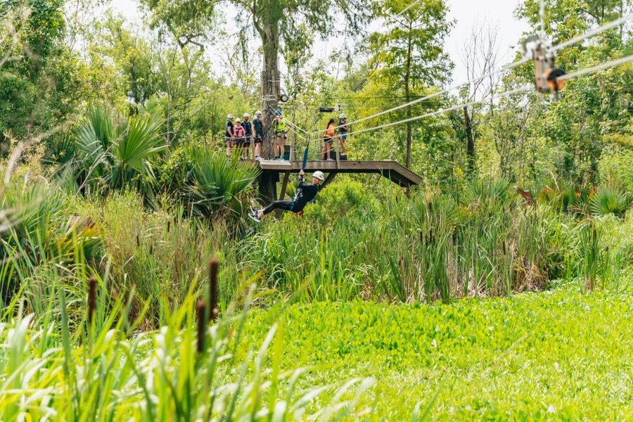 New Orleans: Swamp Zipline Tour - Is $89 a fair price for 90 minutes?