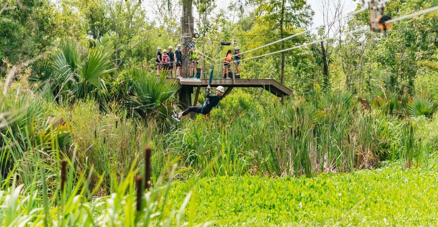 New Orleans: Swamp Zipline Tour - A 60-foot start above the cypress trees