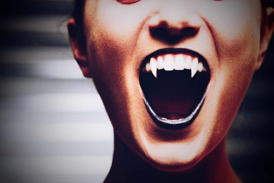 New Orleans: Vampires, Voodoo, and Ghosts Tour - Key points to know before you book