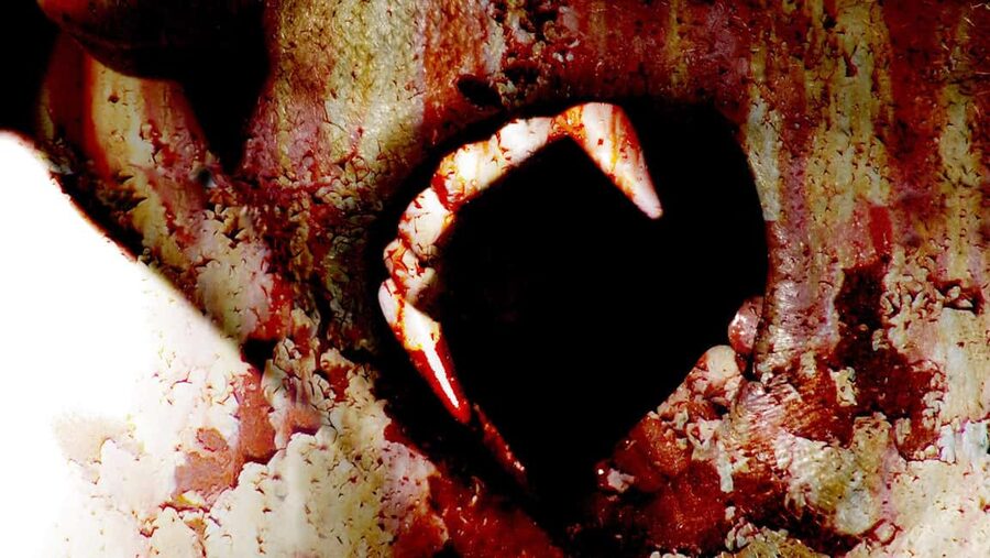 New Orleans: Vampires, Voodoo, and Ghosts Tour - Starting at the Red Door on Decatur Street