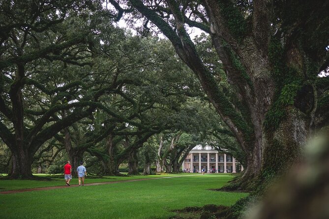New Orleans Walking Tour: Garden District Stories - What the $29.80 price gives you
