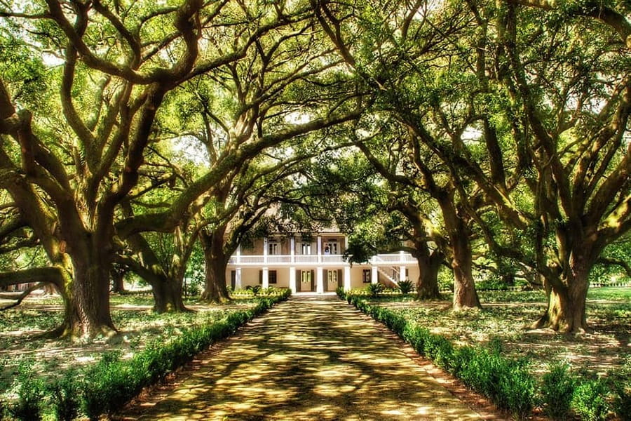 New Orleans: Whitney Plantation Tour with Transportation - The ride along the Mississippi River plantations