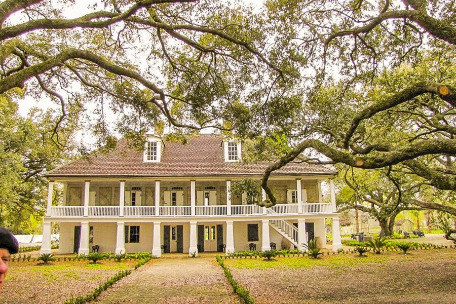New Orleans: Whitney Plantation Tour with Transportation - Adding the Manchac Swamp boat ride