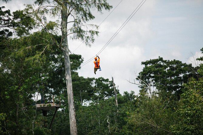 New Orleans Zipline Swamp Tour - Key Points Before You Book