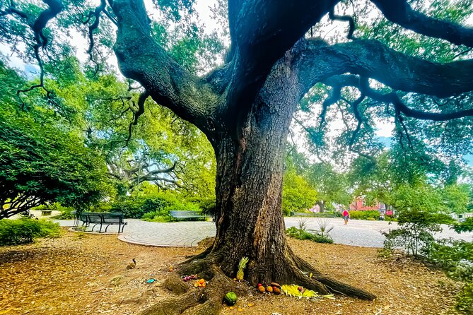 Nola Voodoo Walking Tour with High Priestess Guide in New Orleans - Who will enjoy this most
