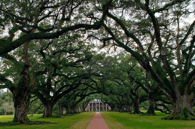 Oak Alley or Laura Plantation Tour from New Orleans - Why this plantation trip matters