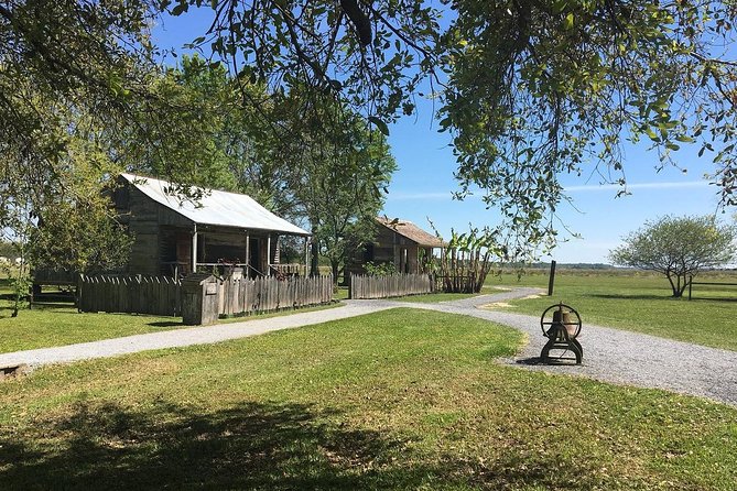 Oak Alley or Laura Plantation Tour from New Orleans - Who should book this outing