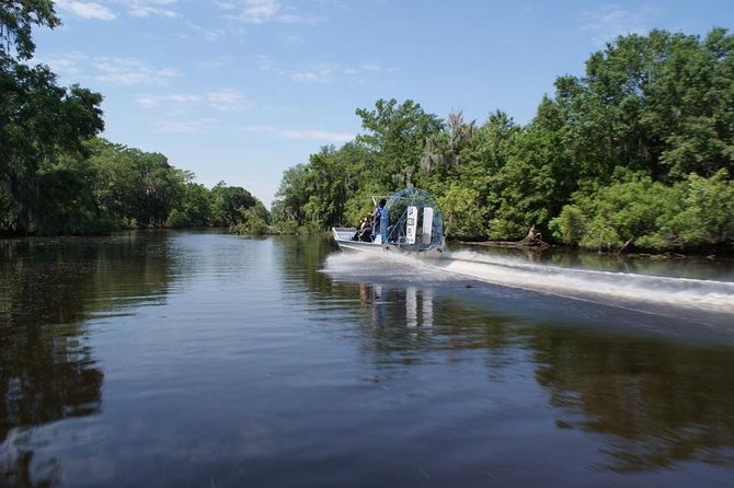 Oak Alley Plantation and Large Airboat Swamp Tour from New Orleans - Alligators, birds, and realistic wildlife expectations