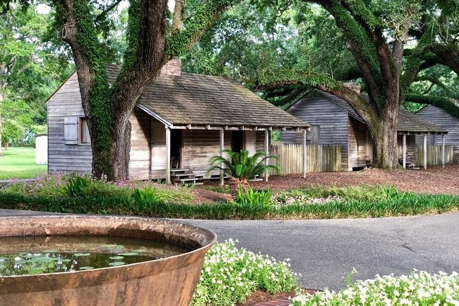 Oak Alley Plantation and Large Airboat Swamp Tour from New Orleans - Arriving beneath Oak Alley’s old trees