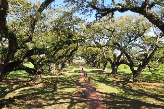 Oak Alley Plantation and New Orleans City Tour - One day, two very different New Orleans experiences
