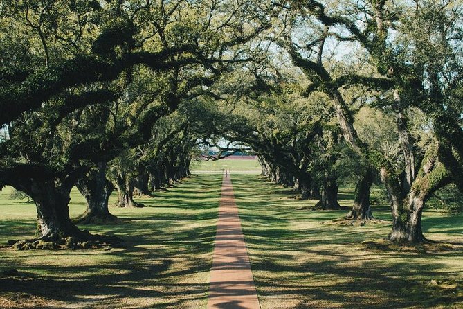 Oak Alley Plantation and Small Airboat Tour from New Orleans - Oak Alley’s famous walk beneath the oaks