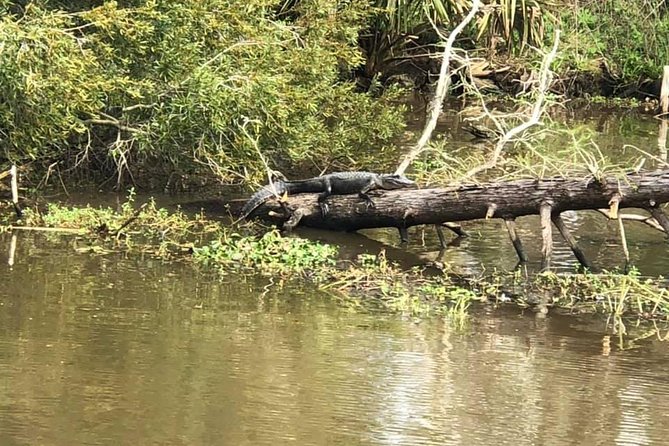 Oak Alley Plantation and Small Airboat Tour from New Orleans - Is the airboat safe and accessible for you?