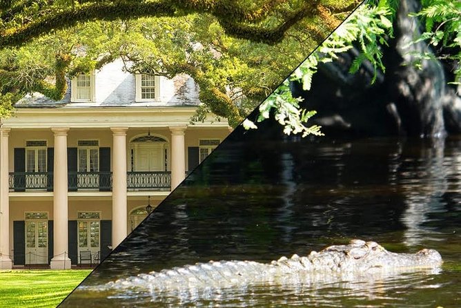 Oak Alley Plantation and Swamp Boat Tour from New Orleans - What you can see around the plantation