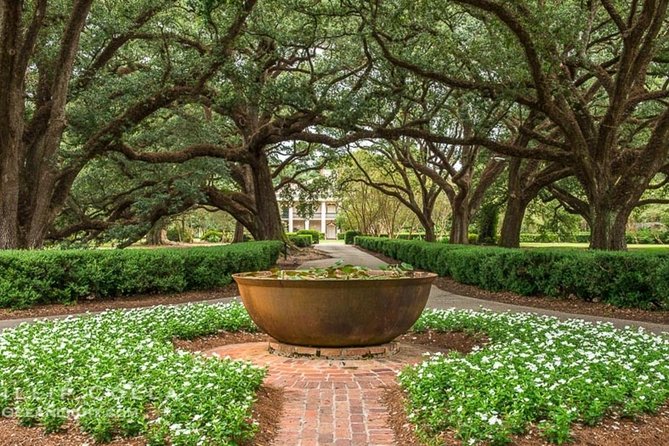 Oak Alley Plantation and Swamp Boat Tour from New Orleans - Weather, comfort, and the right expectations
