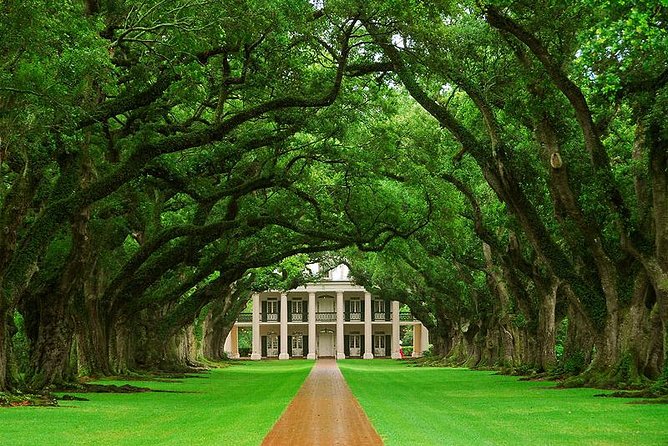 Oak Alley Plantation Half-Day Tour from New Orleans - Key points to know before booking