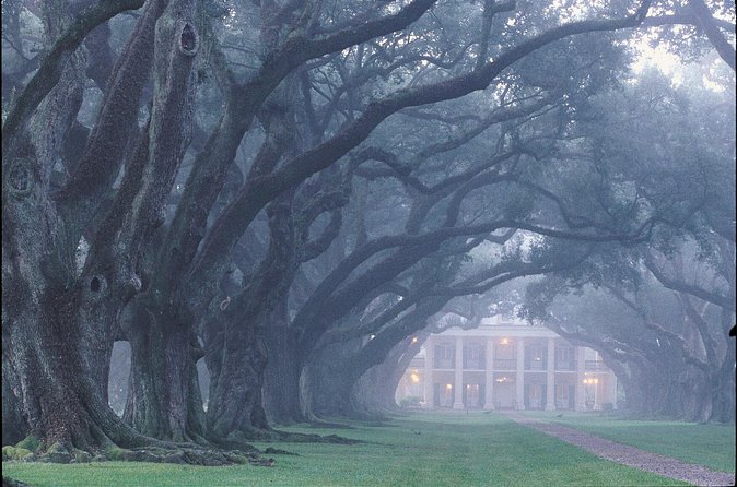 Oak Alley Plantation Tour with Pickup from New Orleans - Who will enjoy this half-day outing?